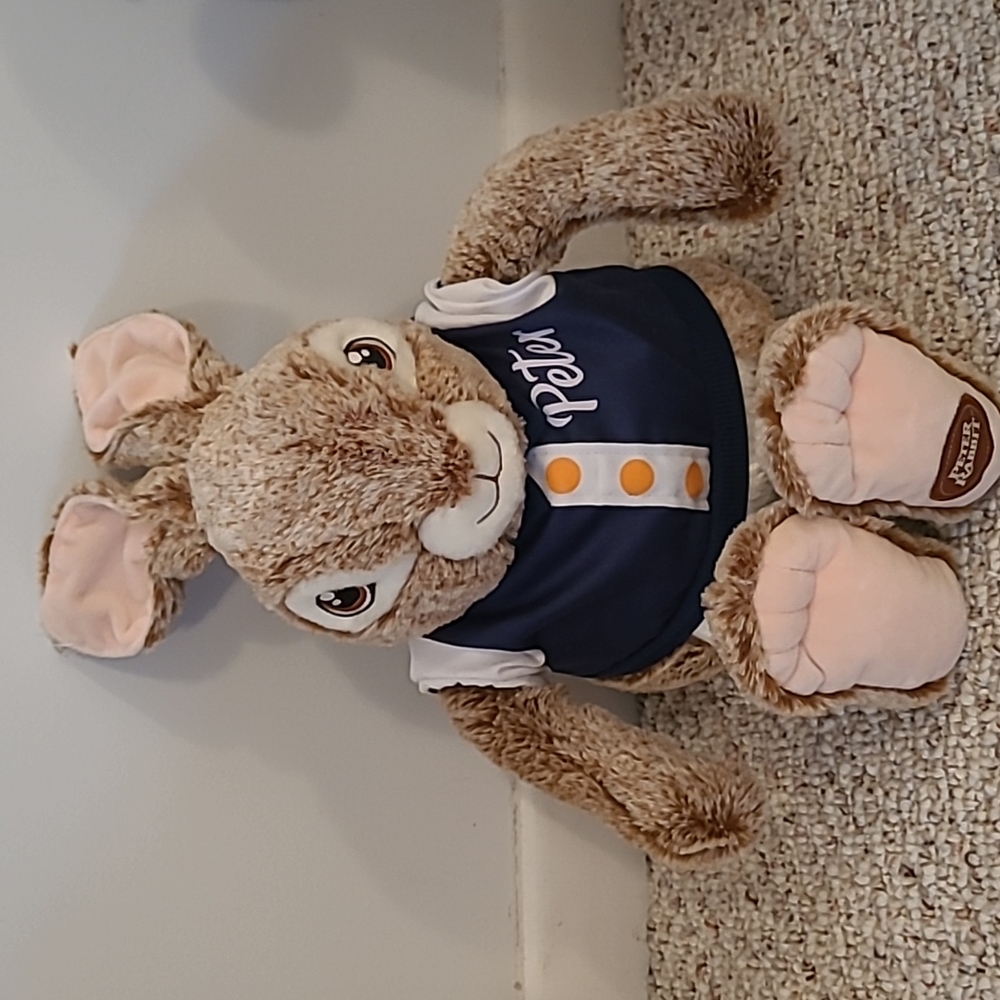 Peter Rabbit stuffed animal